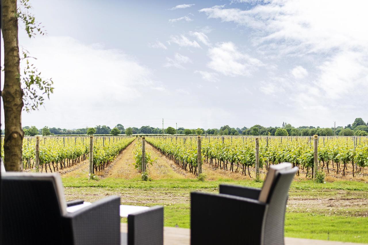 Tinwood Estate Vineyard Lodges Chichester Kültér fotó